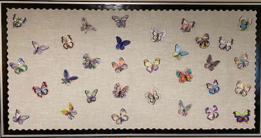 Our Butterflies – Div 7