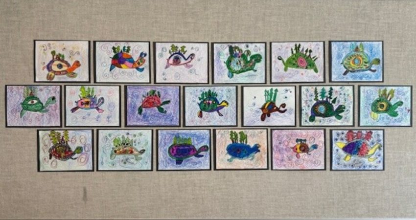 Our Turtles – Div 10