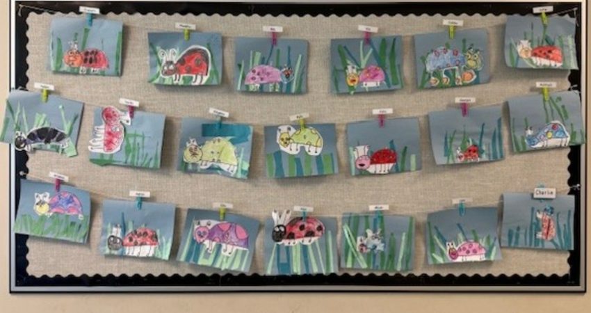 Love Bugs – Div 12