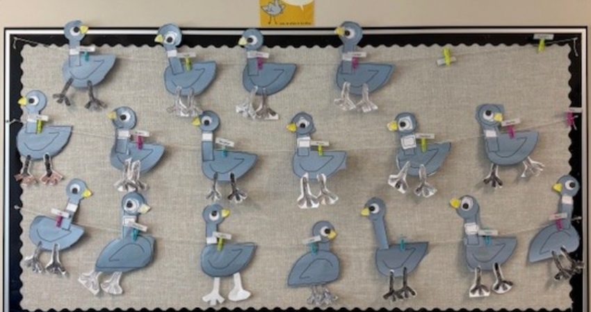 The Pigeon Had to Go to School – Div 13