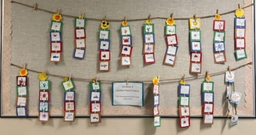 Ocean Food Chains – Div 5