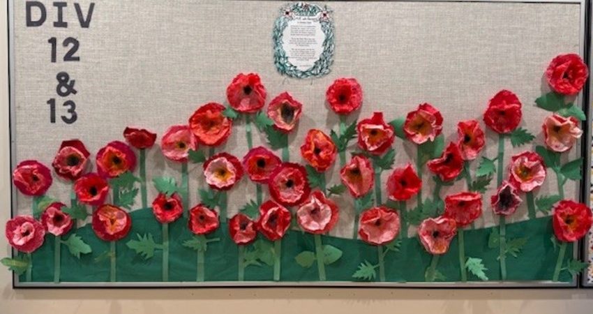 A Field of Poppies – Div 12 & 13