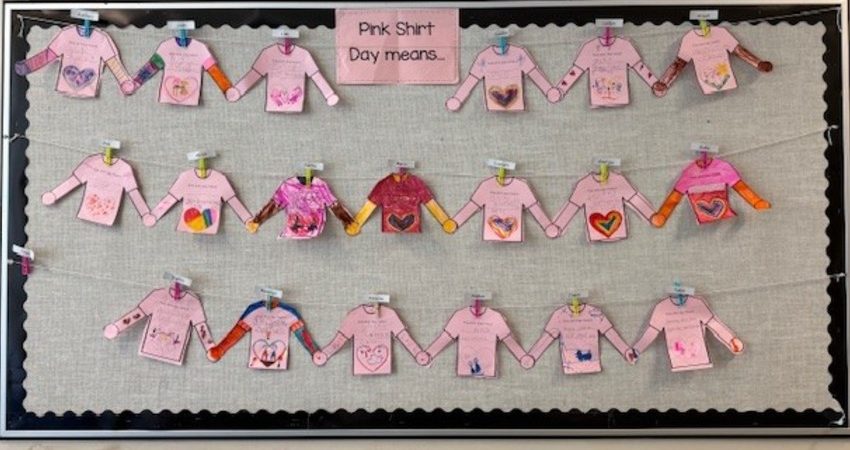 Pink Shirt Day Means… – Div 13